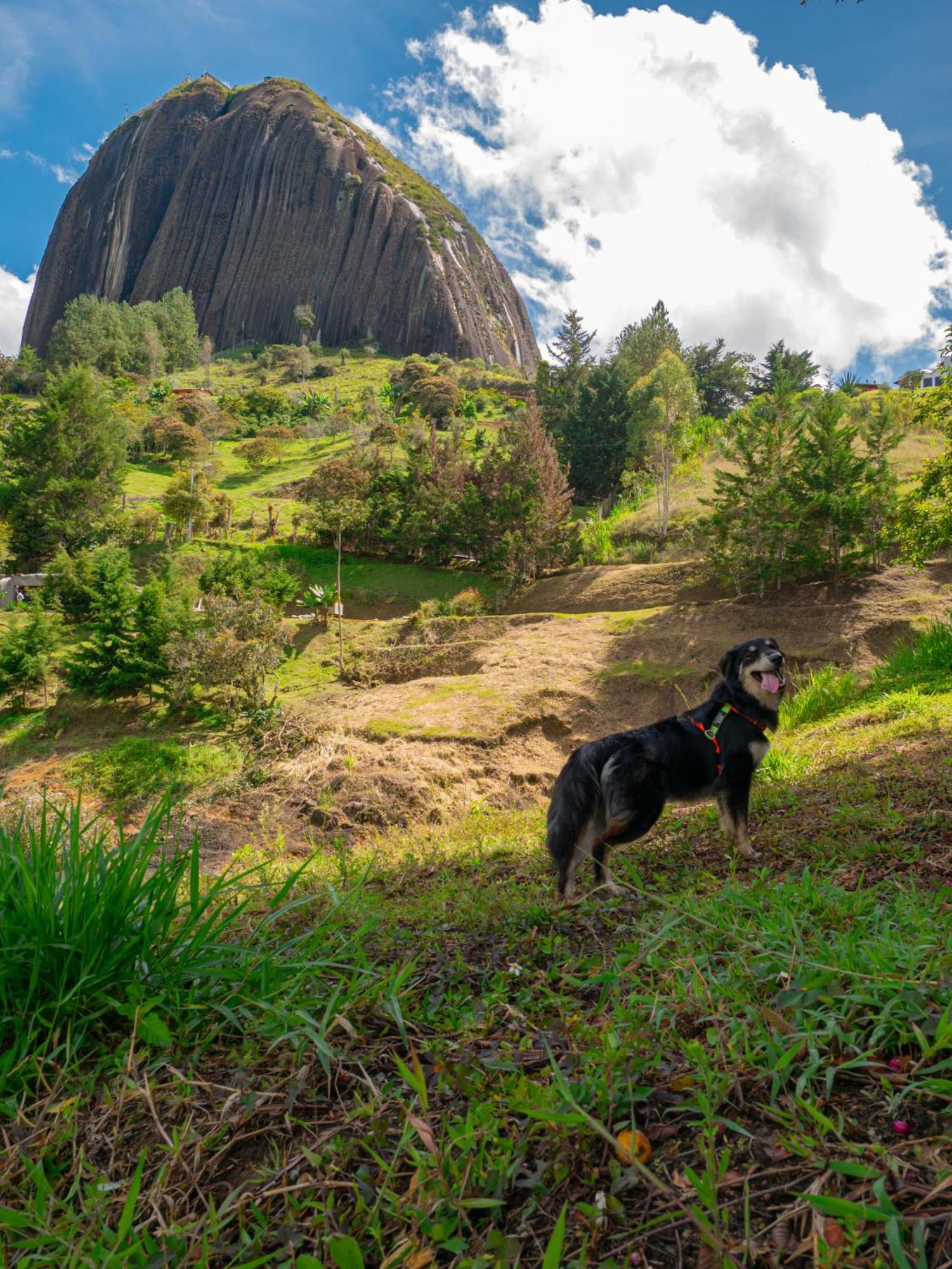 Descanso Bajo La Piedra Del Penol Guatape Bagian luar foto